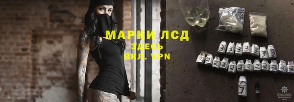 стаф Лабытнанги