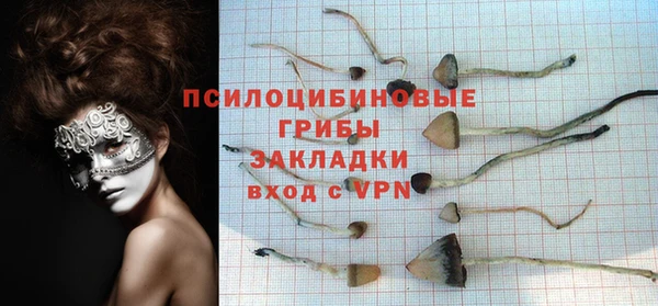 spice Ладушкин