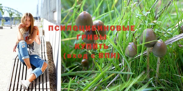 spice Ладушкин