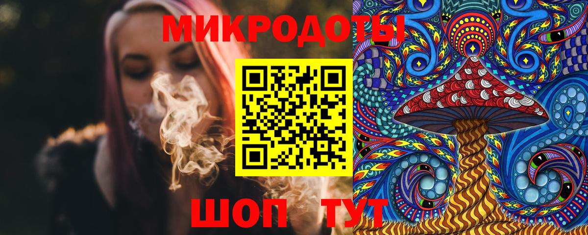 Галлюциногенные грибы Psilocybe Приморско-Ахтарск
